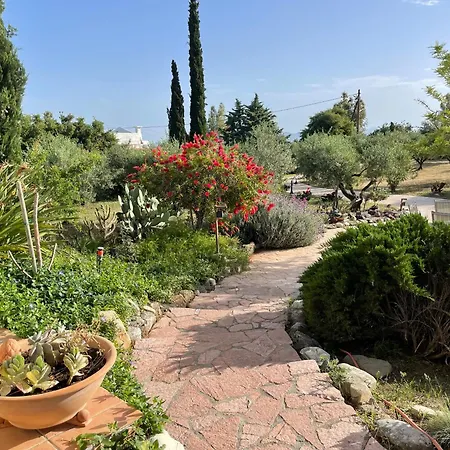 Carpe Diem Apartament *