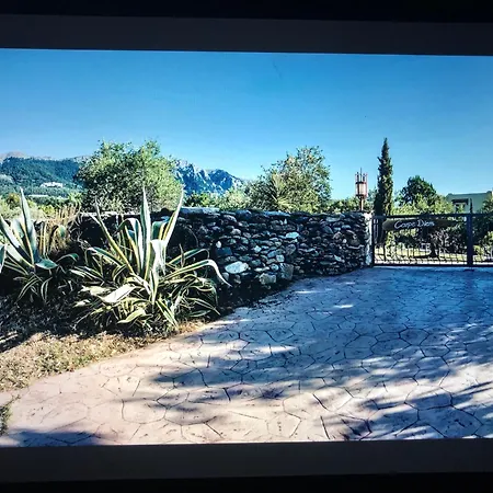 Carpe Diem Zipárion