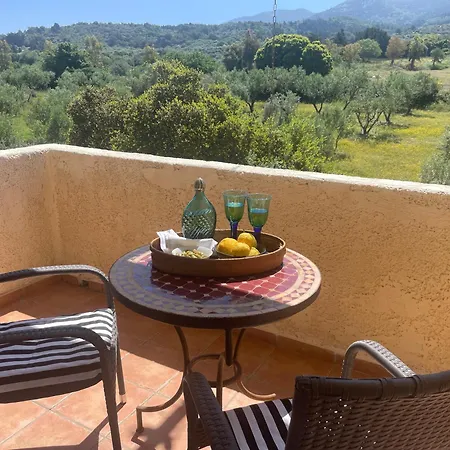 Carpe Diem Zipárion