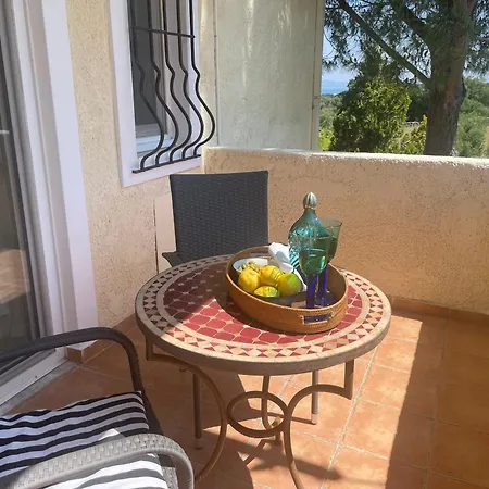 Carpe Diem * Ziparion