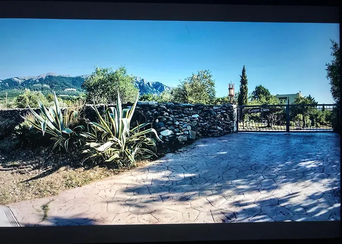 Carpe Diem Zipárion