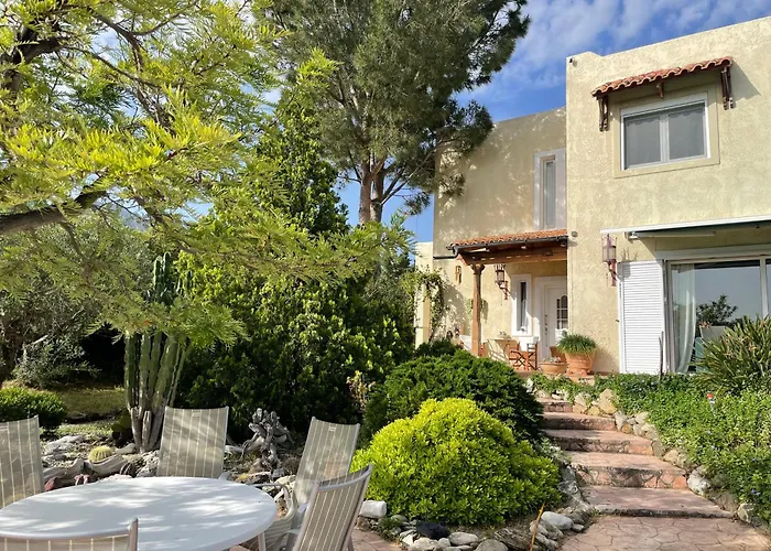 Carpe Diem * Zipárion