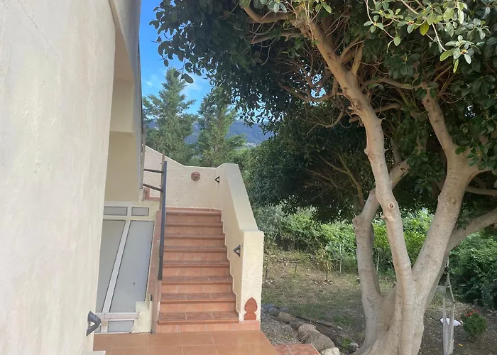 Carpe Diem Zipárion