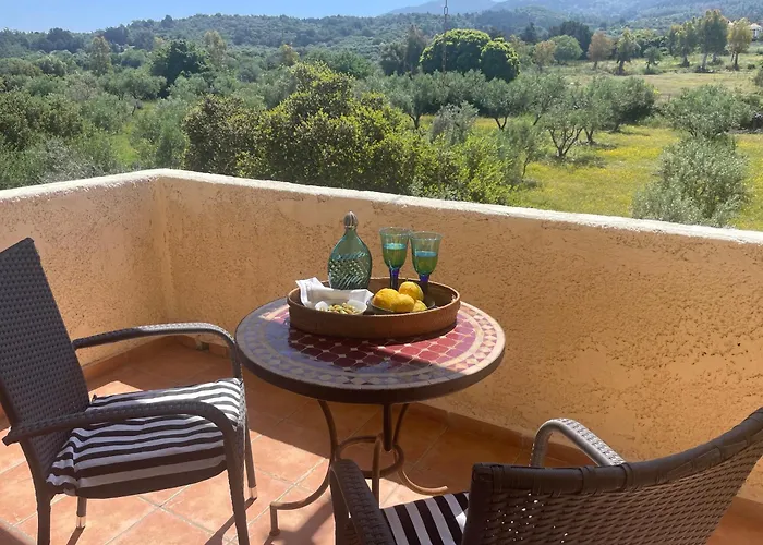 Carpe Diem Zipárion