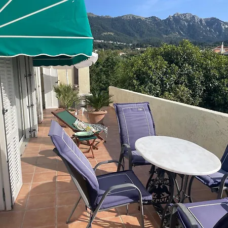 Carpe Diem * Ziparion