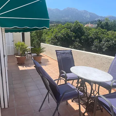 Carpe Diem Apartment