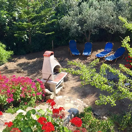 Carpe Diem * Ziparion