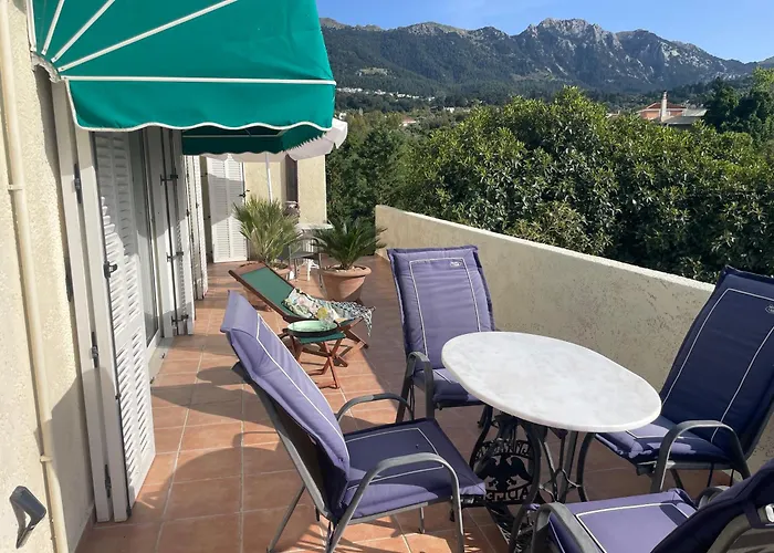 Carpe Diem * Zipárion