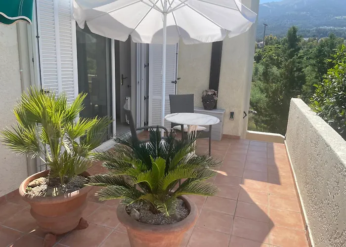 Carpe Diem Zipárion